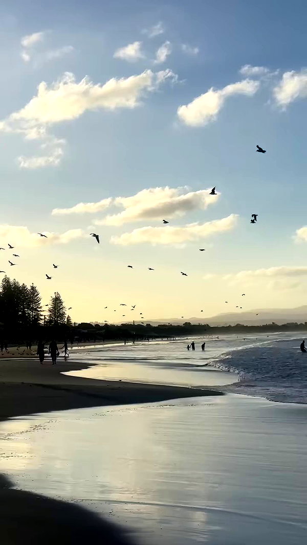 taylor.creeden archive video preview