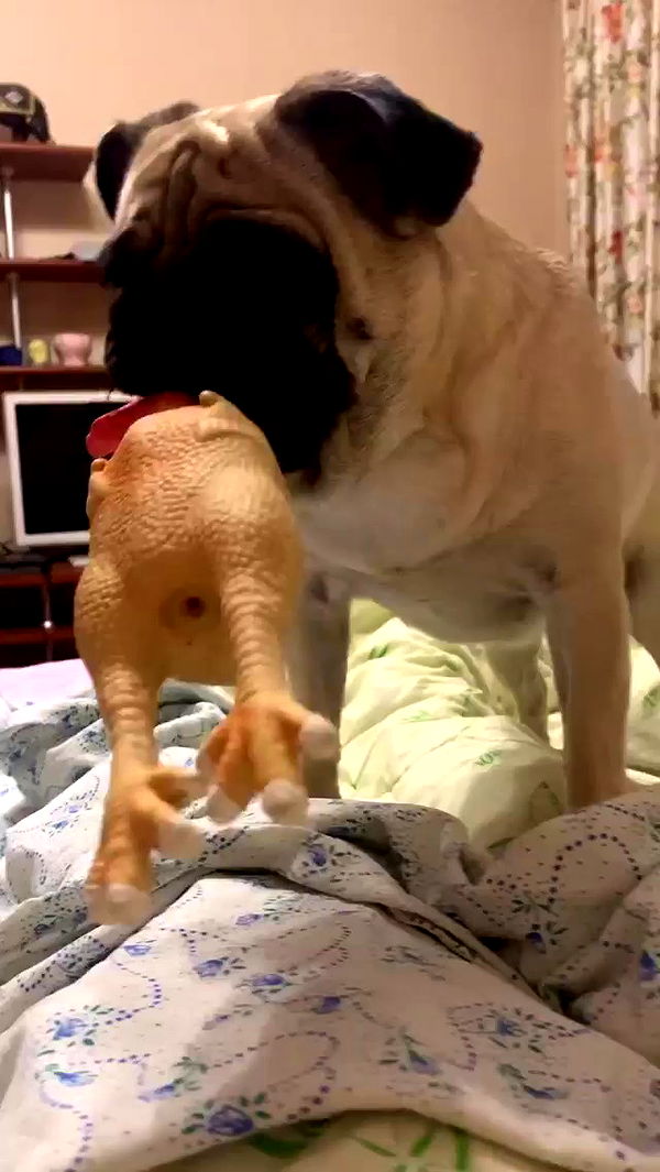 nyityam archive video preview