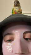lea.weinberg_ Altpins Profile Picture