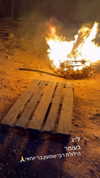 tal_tobul Altpins Profile Picture