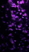 kristti.a Altpins Profile Picture