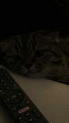 wannabeyourbabygirl Altpins Profile Picture