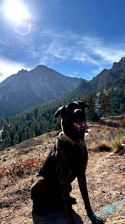 thelizzyporter thelizzyporter archive video