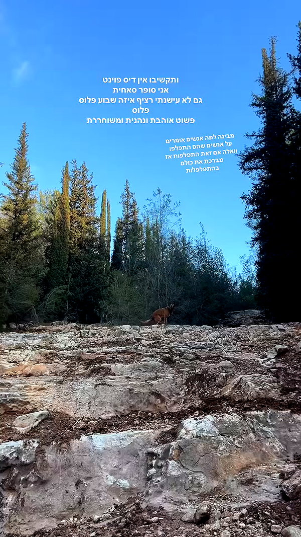 yuval_raz archive video preview