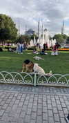 analuvillarreal Altpins Profile Picture