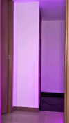 cyber_zoe_ Altpins Profile Picture