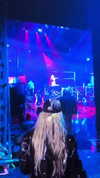 xtina Altpins Profile Picture