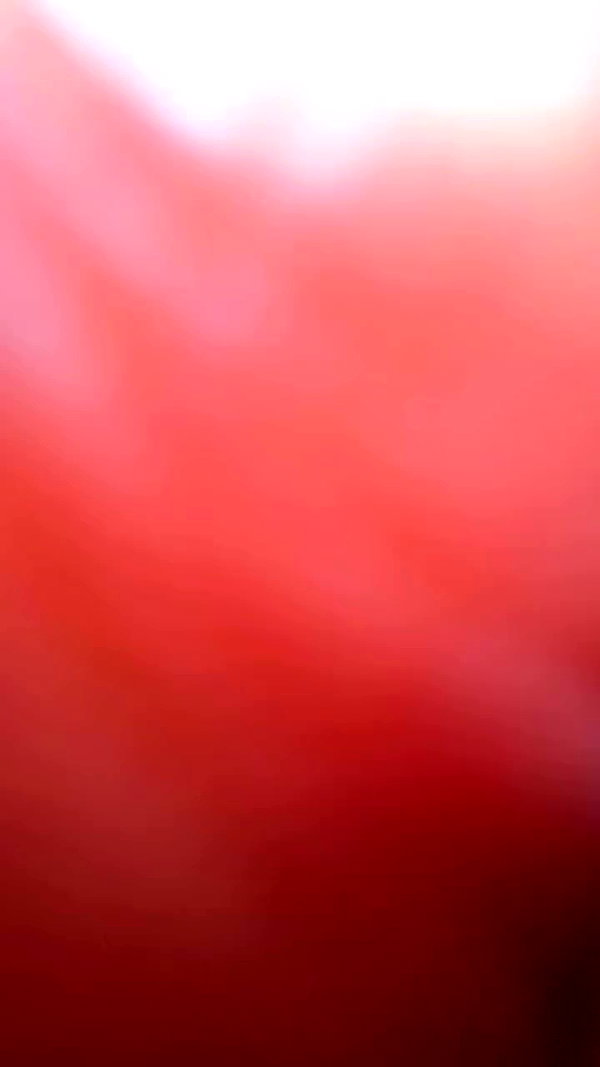 manjolamuriqi archive video preview