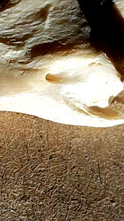 1justsabi 1justsabi archive video