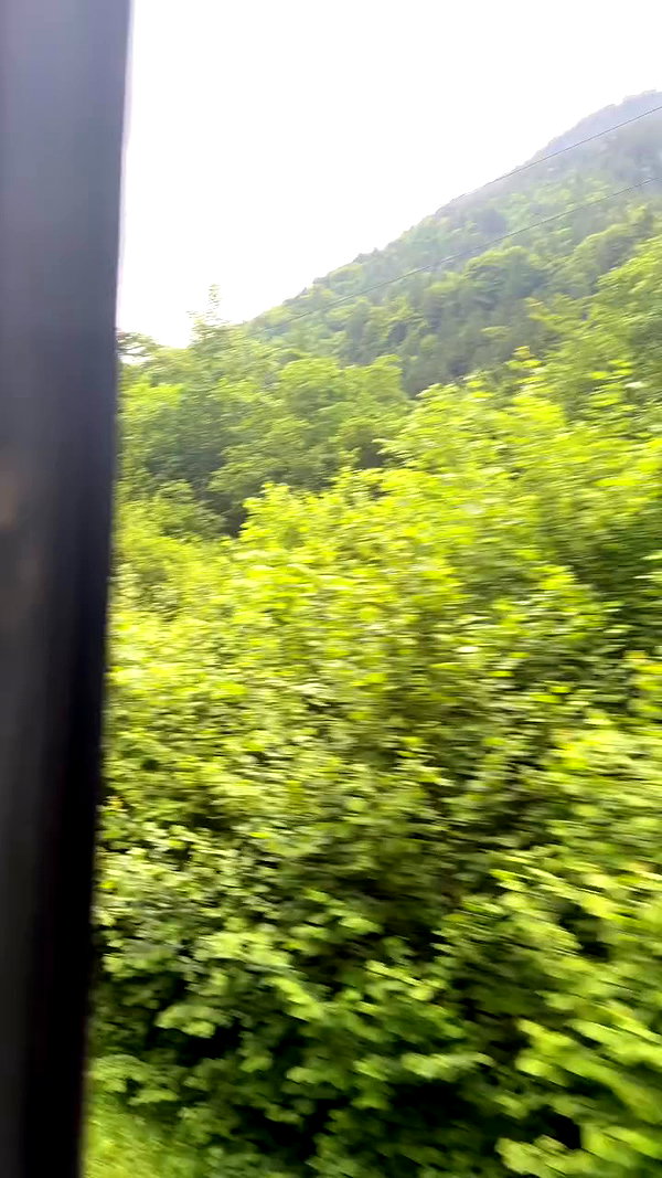 ruth_chavarri archive video preview