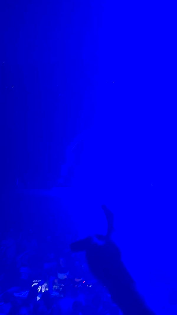 _b__eva__ archive video preview