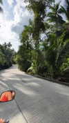 shirakor_ Altpins Profile Picture