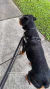 olivia.mathers Altpins Profile Picture