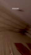 taylorcattanach Altpins Profile Picture