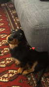 libby_reut Altpins Profile Picture