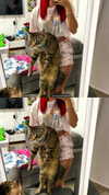 shanidahan7 Altpins Profile Picture