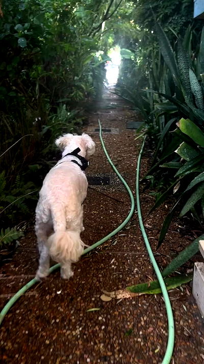 feelbetterinmysweater feelbetterinmysweater archive video