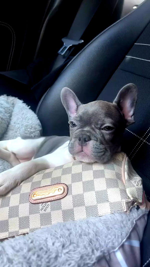 danaikontodiou archive video preview