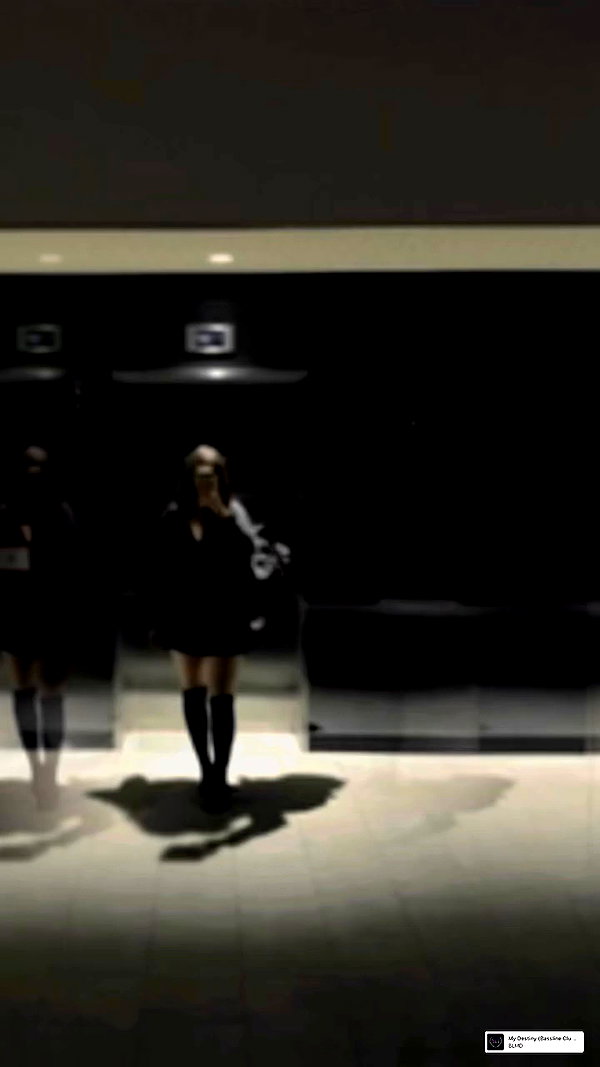 gisellelee8 archive video preview