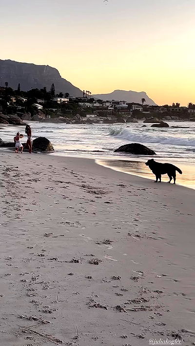 taylor.creeden taylor.creeden archive video