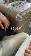 shiro0w0_ Altpins Profile Picture