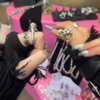ayash.hila Altpins Profile Picture