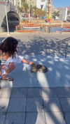 babynympho_archive Altpins Profile Picture