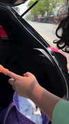 dina_shrago Altpins Profile Picture