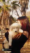 hadas_mayer_ Altpins Profile Picture