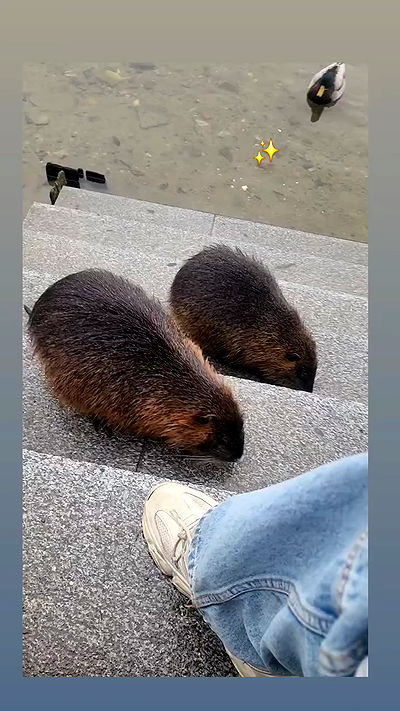 eveliniya eveliniya archive video