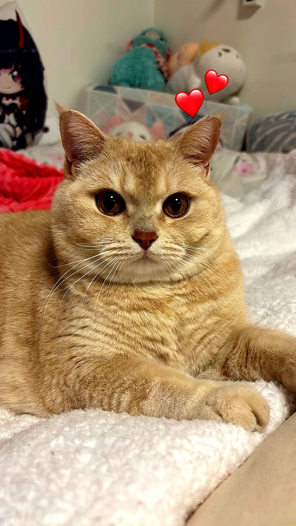 bbyerikss archive video preview