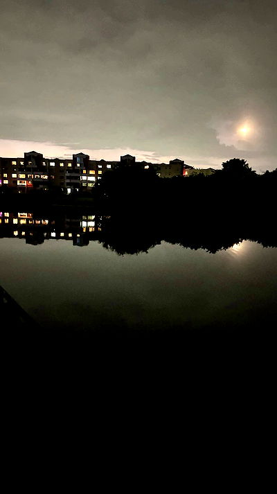 mosssaico mosssaico archive video