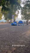 michal_cohen017 Altpins Profile Picture