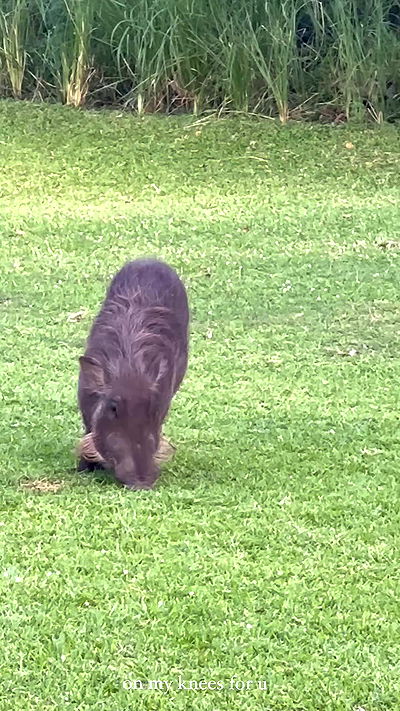 taylor.creeden taylor.creeden archive video