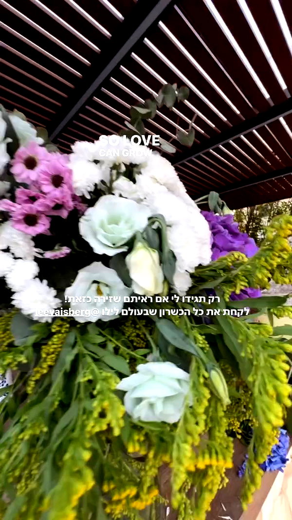 annezivi archive video preview
