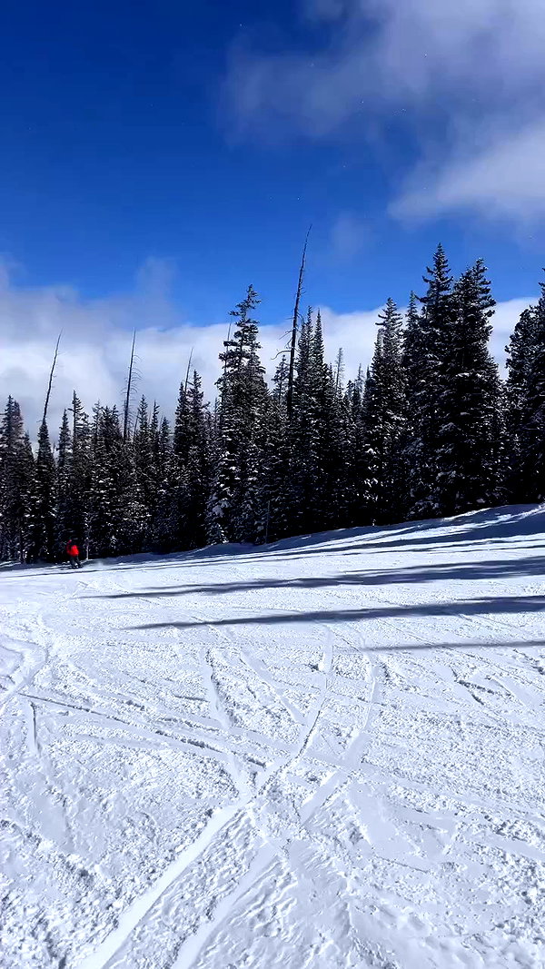madisonwoolley archive video preview