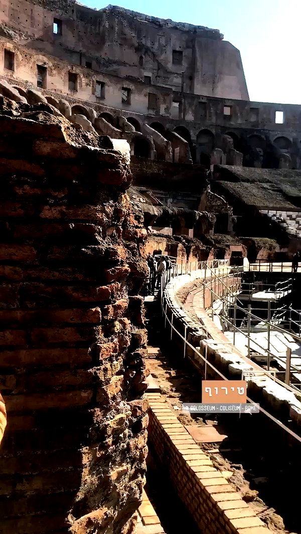 michal_cohen017 archive video preview