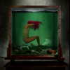 shakira Altpins Profile Picture