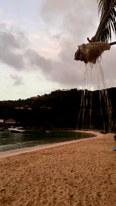 taylor.creeden taylor.creeden archive video