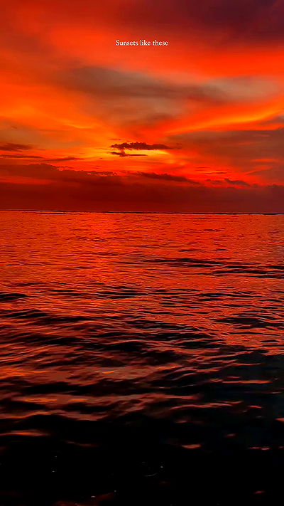 taylor.creeden taylor.creeden archive video