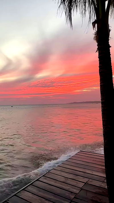 giangg._ giangg._ archive video