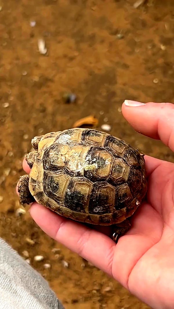 feelbetterinmysweater archive video preview