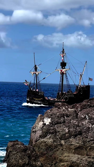 taylor.creeden taylor.creeden archive video