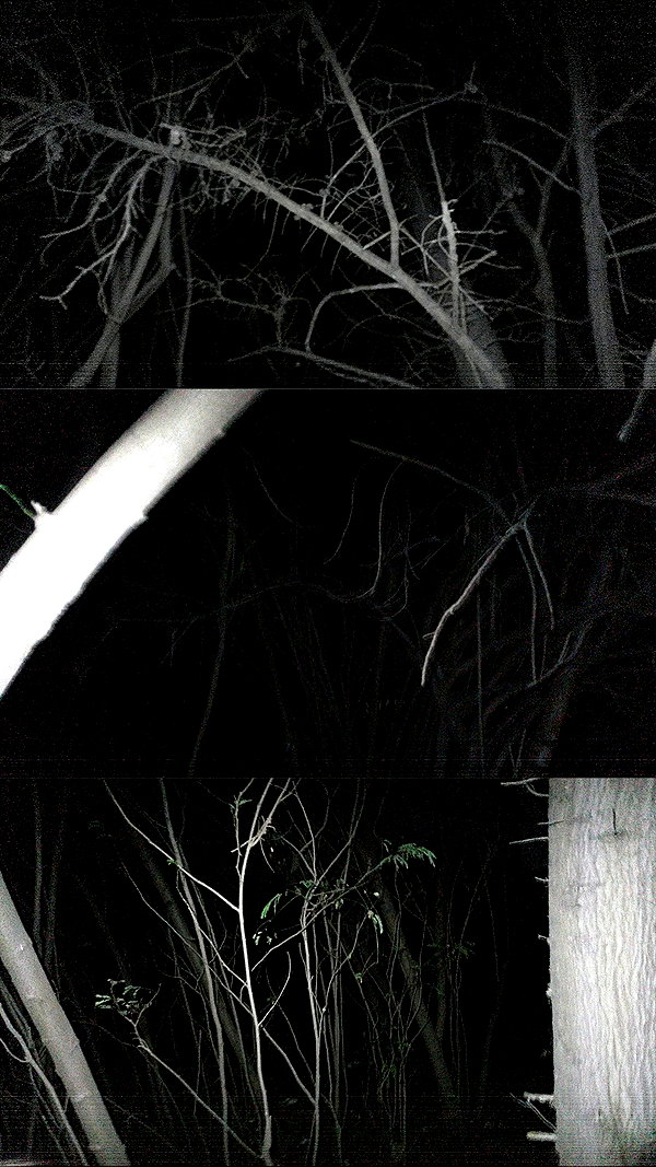 dustheadd archive video preview