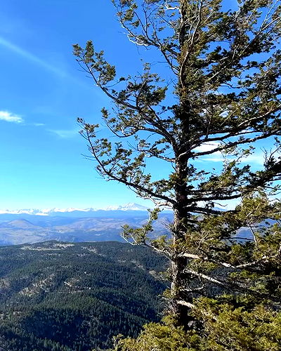 thelizzyporter thelizzyporter archive video