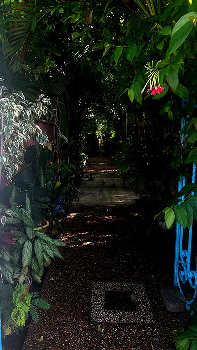 feelbetterinmysweater feelbetterinmysweater archive video