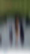 cannonstheband Altpins Profile Picture