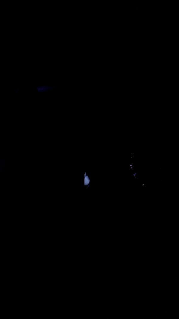 liya.barsky archive video preview