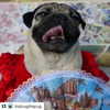 shakira Altpins Profile Picture