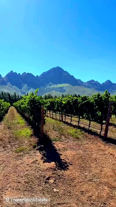 taylor.creeden taylor.creeden archive video